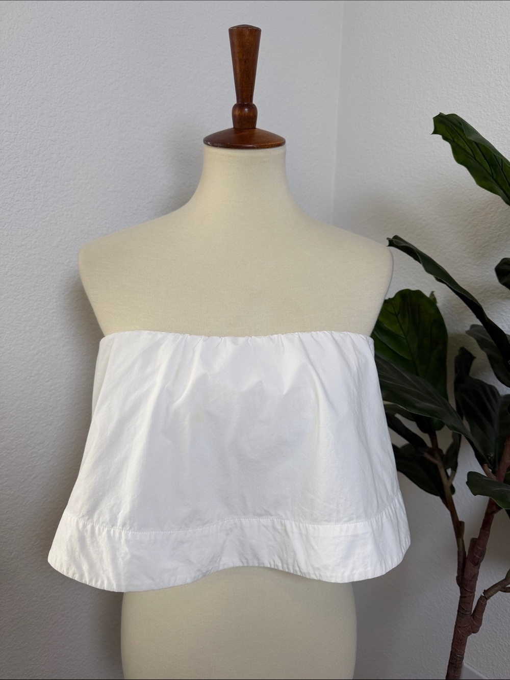 Aritzia Wildred Poplin Strapless Crop Top Tube